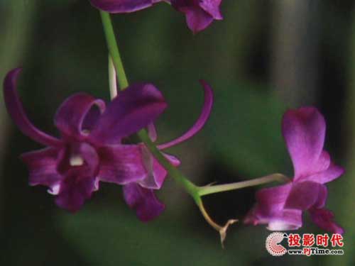 �곞H5360ͶӰ�C(j��)����X�����u(p��ng)�y(c��)