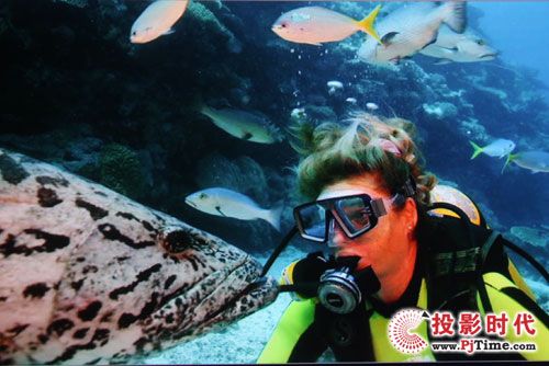 ���I����ҕ�l