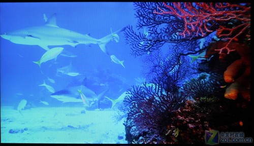 3D藍光僅1999元 華錄2036藍光機詳測