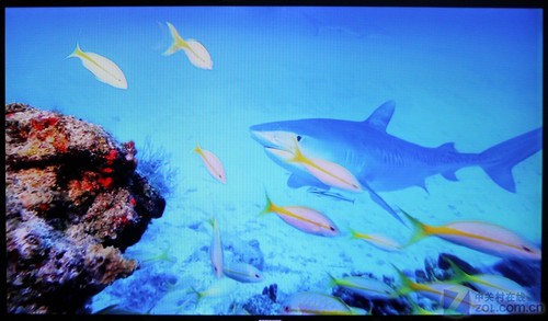 3D藍光僅1999元 華錄2036藍光機詳測