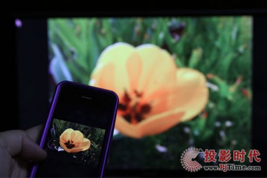 AirPlay及DLNA功能