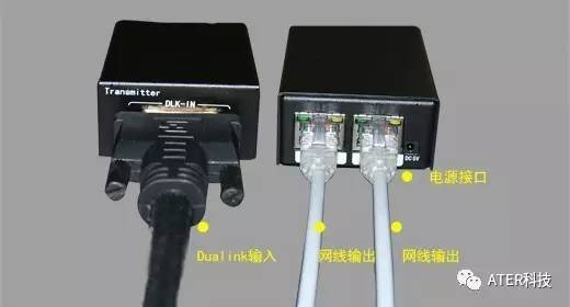 DDMALL_4KpgݔʬF׃Ăݔ_ʼ