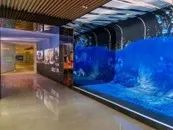 快來看啊,海康威視幫你做展廳啦!