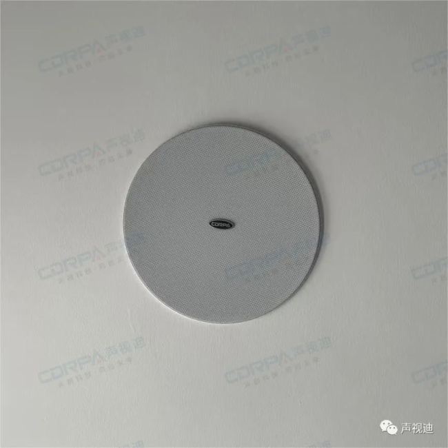 CDRPA精選案例||聲視迪會議擴聲系統成功應用于泰安市審計局黨建多功能廳