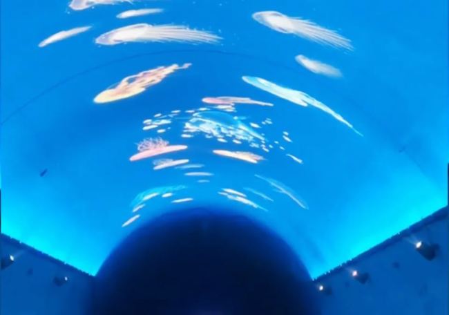 15ľկXͨ܇ح˼ɫˇg@Fμ