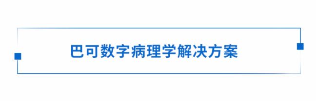 白皮書丨解讀色彩在現(xiàn)代病理學(xué)中的應(yīng)用